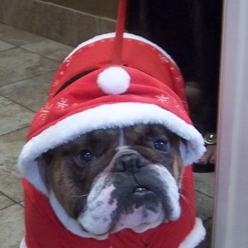 Meet your Posher, Betty